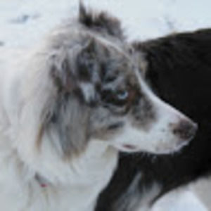 Meet your Posher, Greta